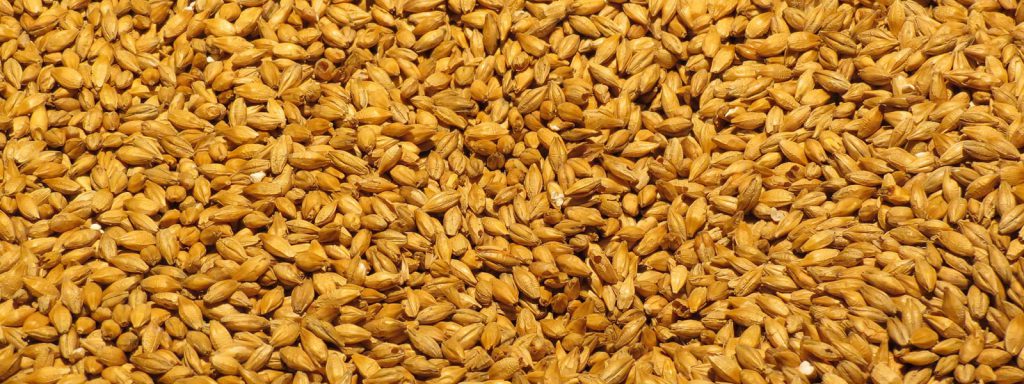 Slide - Grains